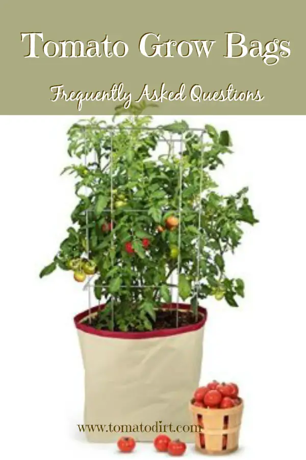 Tomato Grow Bags: frequently asked questions about these new and unique containers for growing tomatoes with Tomato Dirt. #TomatoGrowingTips #GrowingTomatoesinPots