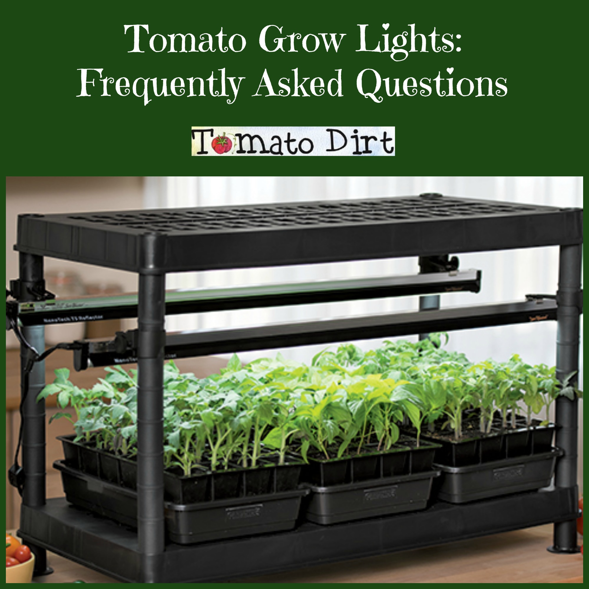 Tomato Grow Lights for Seedlings: FAQs from Tomato Dirt