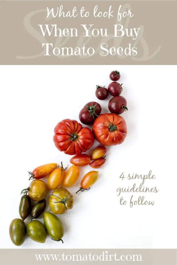 What to look for when you buy tomato seeds with Tomato Dirt #growtomatoes #HomeGardening