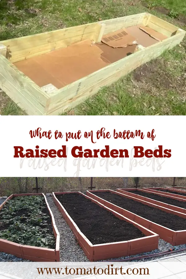 What to put in the bottom of raised garden beds with Tomato Dirt #ContainerGardening #RaisedBedGardening #VegetableGardening