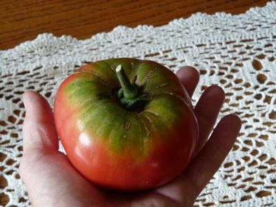 Is my tomato ripe when it has a green top?