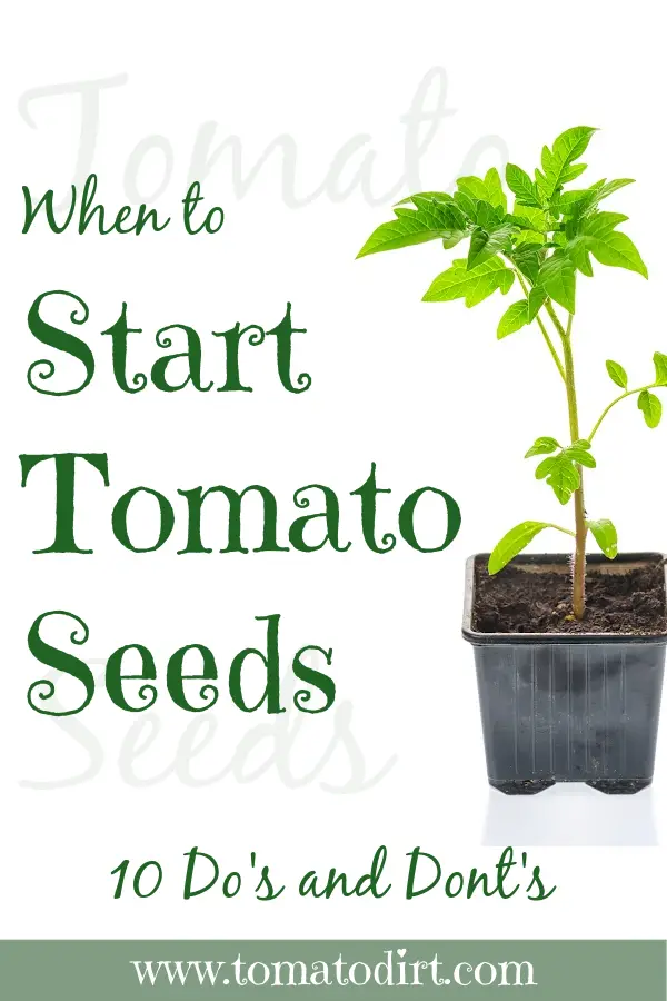 When to start tomato seeds with Tomato Dirt #GrowingTomatoes #HomeGardening